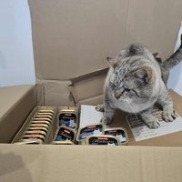 photo de livraison pour Sweety Pets