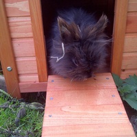 photo de livraison pour La Grange aux Lapins