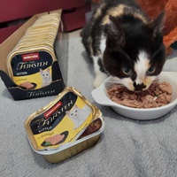 photo de livraison pour Stérilcat 80