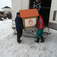 photo de livraison pour Refuge pour chiens de Baia Mare