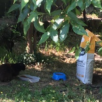 photo de livraison pour Ecole du Chat des Alpilles