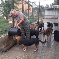 photo de livraison pour ПРИХВАТИЛИШТЕ ДРАЖЕВАЦ