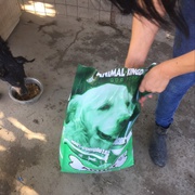 photo de livraison pour Udruženje za zaštitu životinja "Pongo"