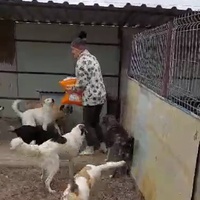 photo de livraison pour Associtia Axi Hope Romania