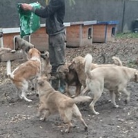 photo de livraison pour Svetlana Bjelogrlic
