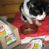 photo de livraison pour Au Bonheur des Chats Libres