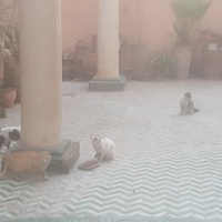 photo de livraison pour Ghita Muller El Jirari
