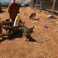 photo de livraison pour Hajar Aourz