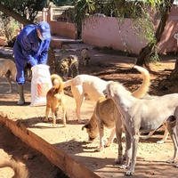 photo de livraison pour UMPA