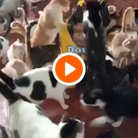 photo de livraison pour Hajar Aourz