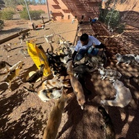 photo de livraison pour L'Arche de Noé