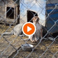 photo de livraison pour Azil Bella