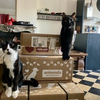 photo de livraison pour Association C.A.T.S. Chat Animal Terrien Solidarité
