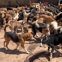 photo de livraison pour ADAN