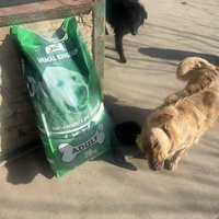 photo de livraison pour Udruženje za zaštitu životinja "Pongo"