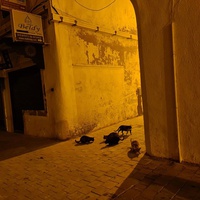 photo de livraison pour ADAN Essaouira