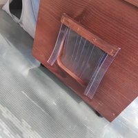 photo de livraison pour Chat Ami pour la Vie