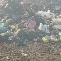 photo de livraison pour Civic Initiative Kane Korzo Skopje