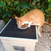 photo de livraison pour A pas de Velours