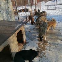 photo de livraison pour Humans foR thEM