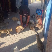 photo de livraison pour ADAN Essaouira