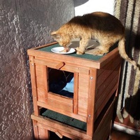 photo de livraison pour L'Ecole du Chat Istreen
