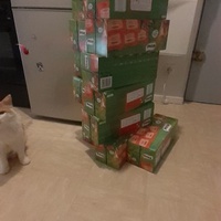 photo de livraison pour Protect Cat