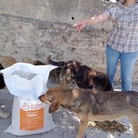 photo de livraison pour Sanctuaire de la Faune de Tanger (SFT)