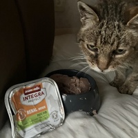 photo de livraison pour SOS Chats Libres