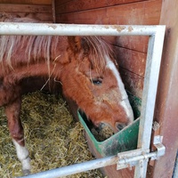 photo de livraison pour Au Bonheur Animal