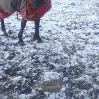 photo de livraison pour HELP