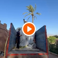 photo de livraison pour Le Coeur sur la Patte