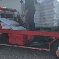 photo de livraison pour 4 Pattes Mogador