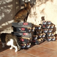 photo de livraison pour Protection Animale Berroise