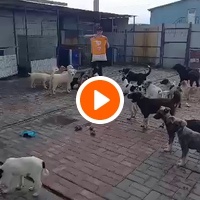 photo de livraison pour Associtia Axi Hope Romania