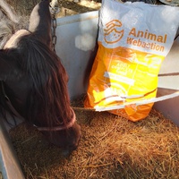 photo de livraison pour Equi-Libre : Droit à la Retraite Equine