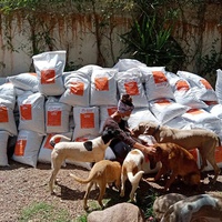 photo de livraison pour Help Adopt Moroccan Animals