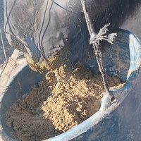 photo de livraison pour Equi-Libre : Droit à la Retraite Equine