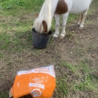 photo de livraison pour Espoir au Galop