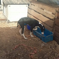 photo de livraison pour Cambiando Miradas