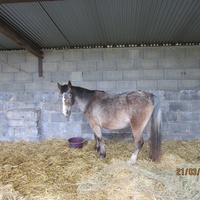 photo de livraison pour Arche et Relais