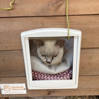 photo de livraison pour Ecole du Chat des Alpilles