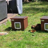 photo de livraison pour SOS Chats Libres Haut-Béarn