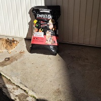 photo de livraison pour Bien vivre avec les Chats Sallélois