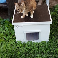 photo de livraison pour Un Ronron d'Espoir 33