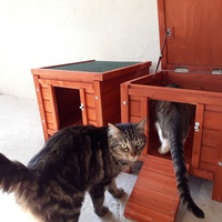 photo de livraison pour Les Aristocats