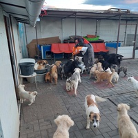 photo de livraison pour Associtia Axi Hope Romania
