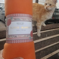 photo de livraison pour Les Chats-Pitresdelavi-Ste