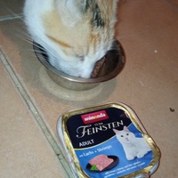 photo de livraison pour Ecole du Chat Libre de Caillerot
