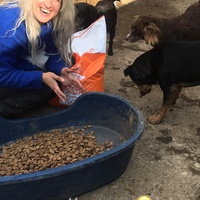 photo de livraison pour Saving Orphaned Souls Sheila's Animal Rescue Mission